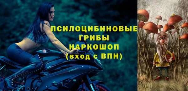 PSILOCYBIN Абинск