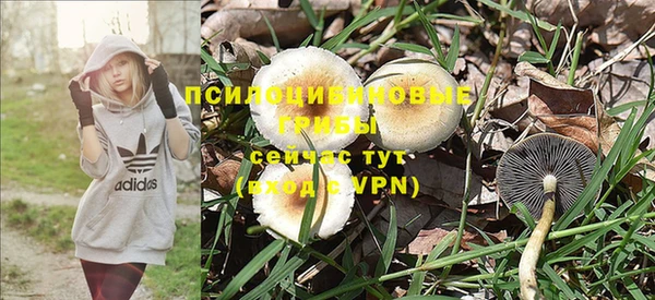 PSILOCYBIN Абинск