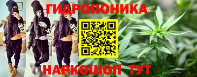 ГАЛЛЮЦИНОГЕННЫЕ ГРИБЫ Бийск
