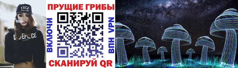Галлюциногенные грибы Psilocybine cubensis  Дивногорск 