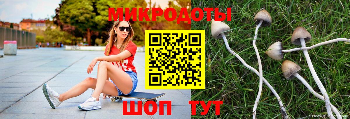 Галлюциногенные грибы прущие грибы Дивногорск