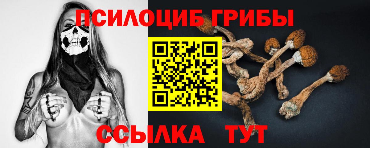 цены   Псилоцибиновые грибы прущие грибы  Вход с VPN  Галлюциногенные грибы Psilocybe  Дивногорск 